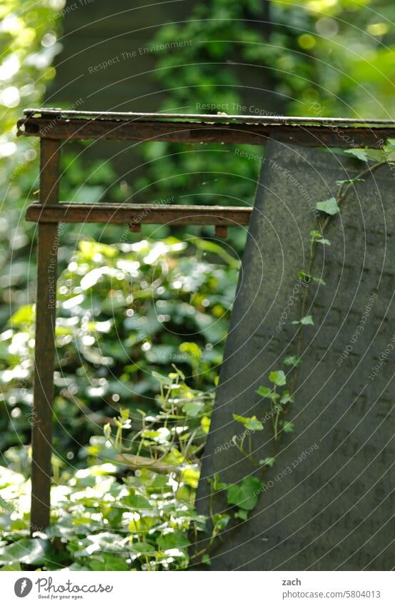 Letzte Reise Friedhof Grabstein Tod Trauer Vergänglichkeit Religion & Glaube Grabmal Traurigkeit Ewigkeit Beerdigung erinnern Erinnerung alt Vergangenheit