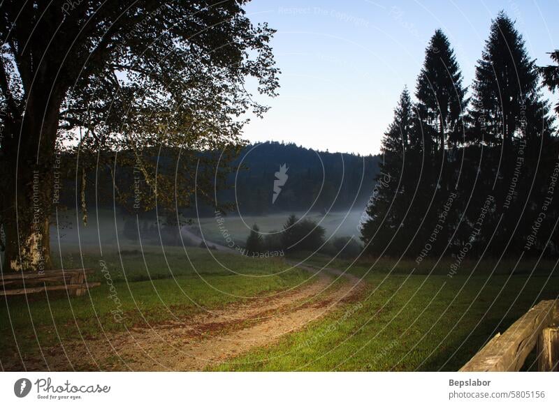 Sonnenaufgang mit Nebel, Kočevski Rog. Dolenjske Toplice, Slowenien Bäume Straße Lichtmalerei Landschaft Weg Morgen Gras Natur Vegetation Plateau Niederkrain