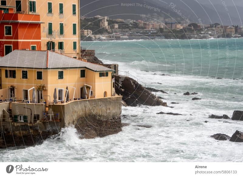 und ewig tosen die Wellen Genua Boccadasse Fischerdorf Panorama (Aussicht) ligurische Küste Ligurien Hanglage Ferien & Urlaub & Reisen Frühjahr Frühlingsstürme