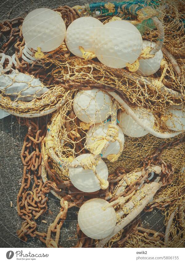 Schwimmzeug Fischereiwirtschaft Fischernetz Fangnetz Gerät Netz Schwimmer (Angeln) Fischfang Menschenleer Seil Hafen maritim Ausrüstung Farbfoto Tag