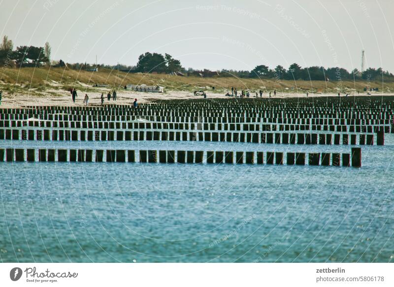 Hiddensee - Buhnen ferien frühling grieben hiddensee insel mecklenburg meer mv ostsee reise sommer sonne strand tourismus urlaub vitte vorpommern kloster