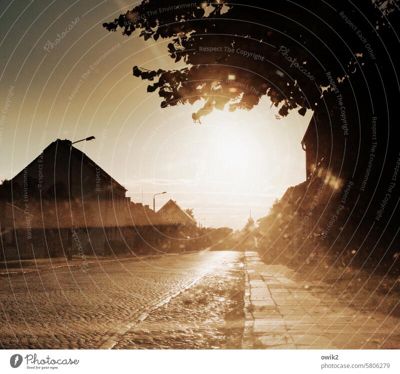 Lange Straße Straßenrand Dorf leuchten Sehnsucht Dorfidylle Bürgersteig Straßenbeleuchtung Wolkenloser Himmel Schönes Wetter Außenaufnahme Idylle bescheiden