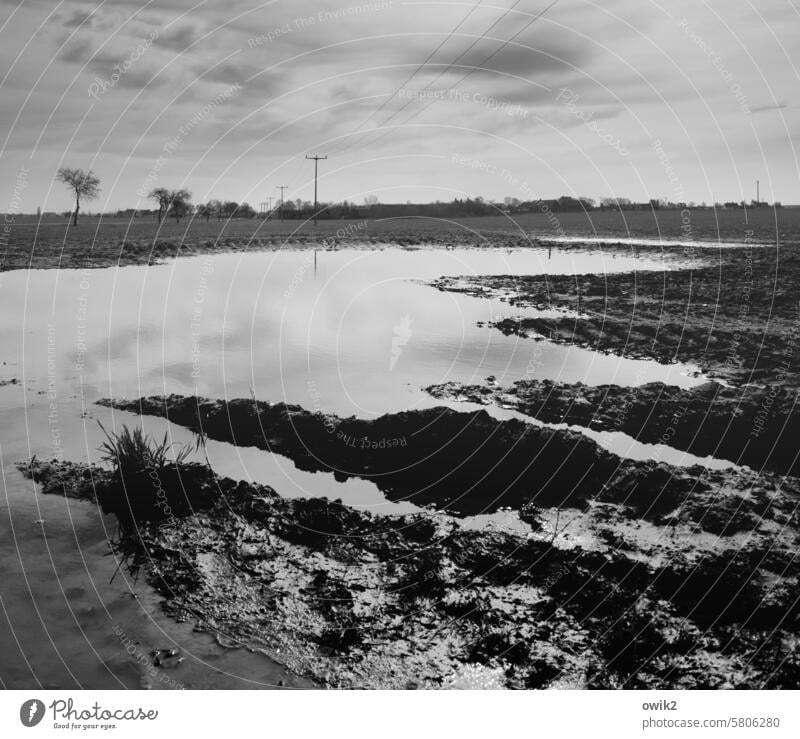 Fjordlandschaft Acker Pfütze groß Ackerfurchen Schlamm nass regennass Außenaufnahme Wetter Reflexion & Spiegelung dreckig Wasser Horizont Flachland Fläming