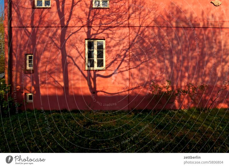 Hiddensee - rotes Haus in Vitte ferien frühling hiddensee insel mecklenburg meer mv nezuendorf ostsee reise sommer sonne strand tourismus urlaub vitte