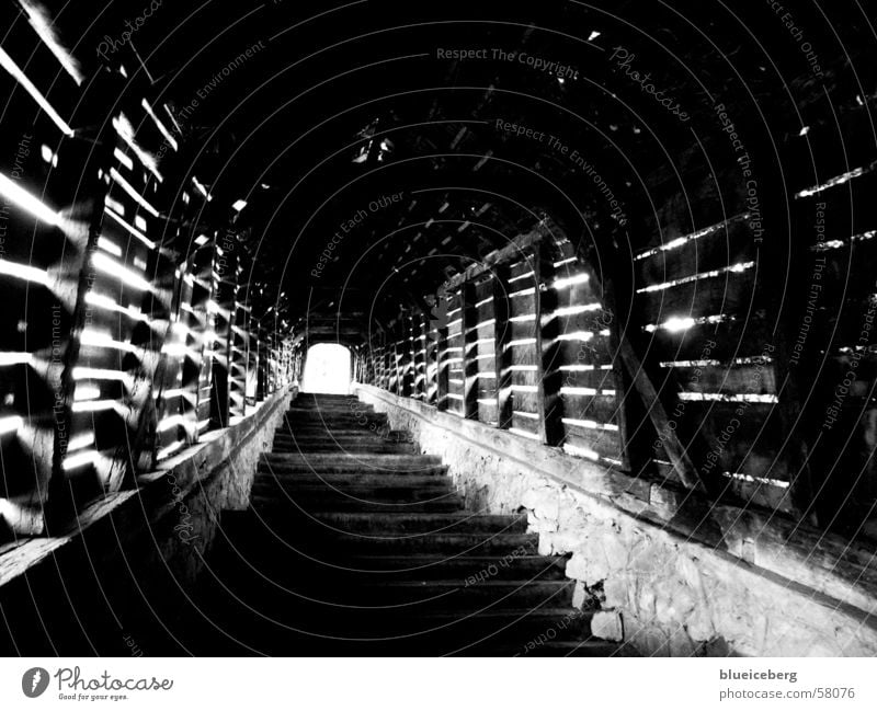 Treppen zur Burg in Sighisoara schwarz weiß stairs black white up romania rumanien Burg oder Schloss