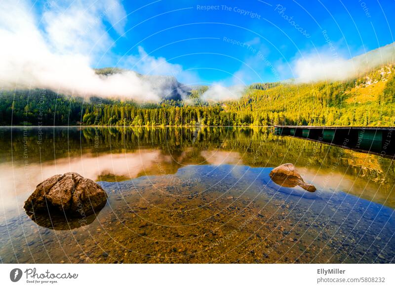 Landschaft am Ödensee in der Steiermark. See Österreich Natur Wald Idylle idyllisch Menschenleer Umwelt Erholung Seeufer Reflexion & Spiegelung Wasser ruhig