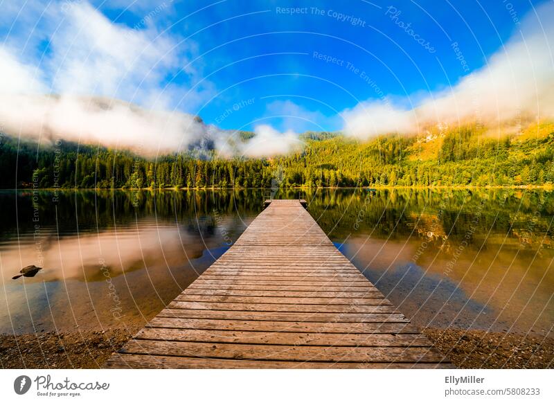 Steg am Ödensee in der Steiermark. See Österreich Natur Landschaft Wald Idylle idyllisch Menschenleer Umwelt Erholung Seeufer Reflexion & Spiegelung Wasser