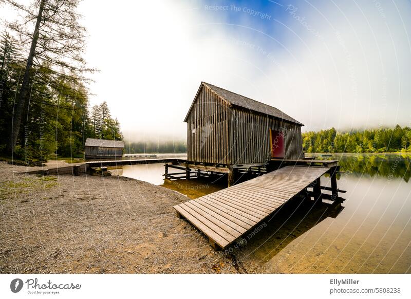 Natur am Ödensee in der Steiermark. See Österreich Landschaft Wald Idylle idyllisch Menschenleer Umwelt Erholung Seeufer Reflexion & Spiegelung Wasser ruhig