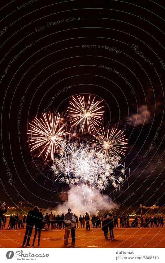 Feuerwerk Nacht Funken Silvester u. Neujahr Feste & Feiern Pyrotechnik leuchten Lichterscheinung Nachthimmel Himmel Freude Veranstaltung Entertainment