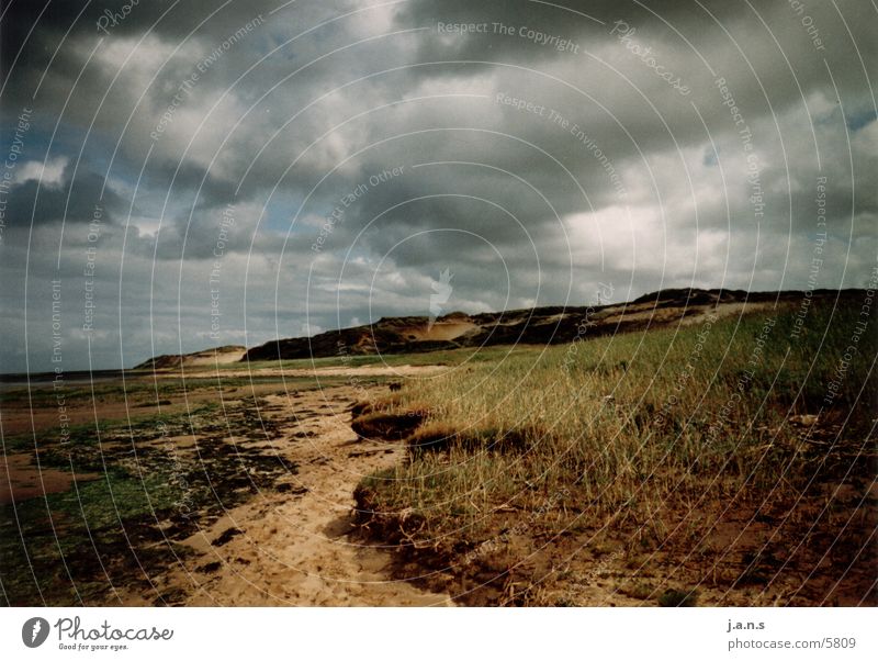 Coast Morsum Kliff Sylt Ebbe Wattenmeer