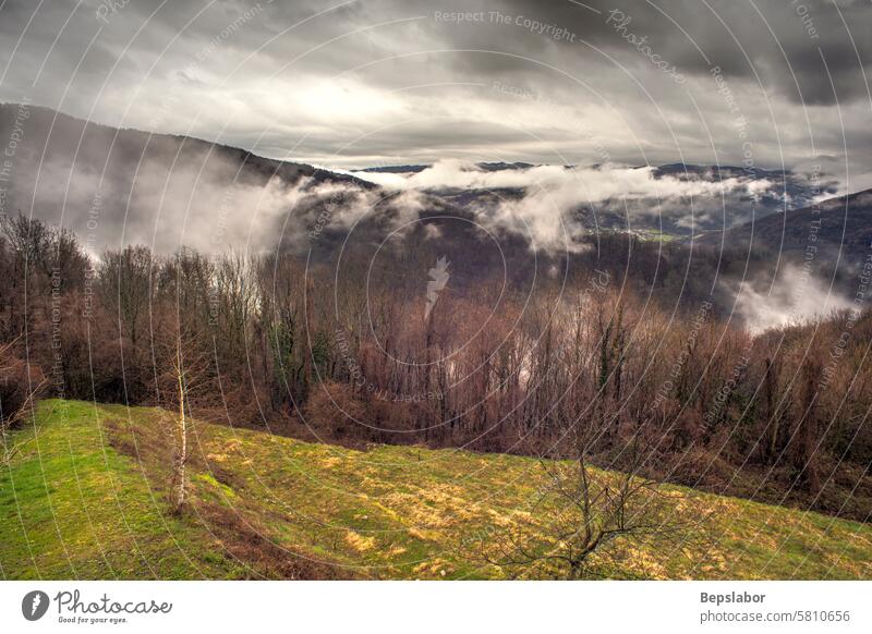 Slowenische Berge im Nebel Wälder Hügel Berge u. Gebirge Winter kalt Wald Bäume Baum Herbst Landschaft weiß verschneite Natur Panorama malerisch Laubwerk grün