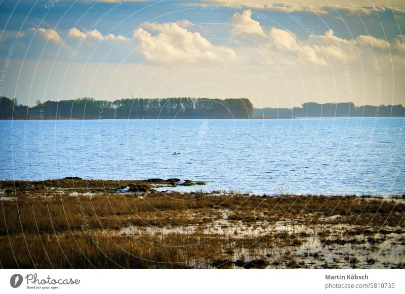 Leichte Wolken am Himmel über dem Bodden in Zingst auf der Ostseehalbinsel. Boddenlandschaft mit Wiesen. Naturschutzgebiet an der Küste. Landschaftsaufnahme