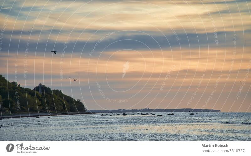 Sonnenuntergang, beleuchtetes Meer. Sandstrand im Vordergrund. Leichte Wellen. Ostsee Sonnenstrahlen Sonnenschein Reflexion & Spiegelung Küste winken reisen