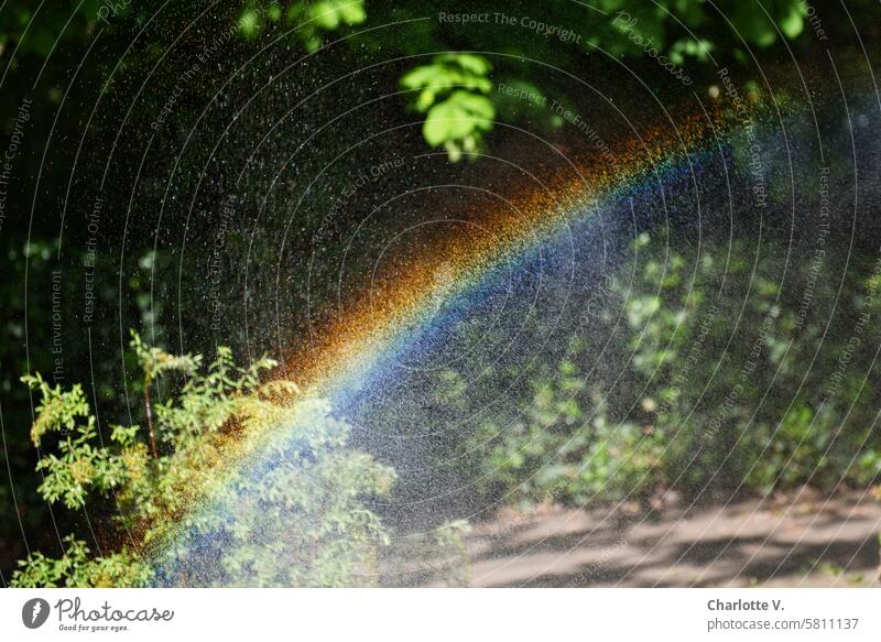 Mini-Regenbogen durch ein Bewässerungssystem Wasser gießen grün wässern Pflanzen bewässern frisch Regenbogenfarben