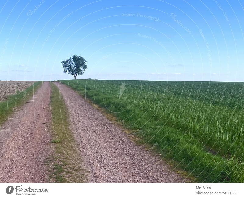 sprichwörtlich | der weg ist das ziel Wege & Pfade Landschaft Fußweg geradeaus Feld Blauer Himmel Acker feldweg Schotterstraße Schotterweg staubig Ziel Feldrand