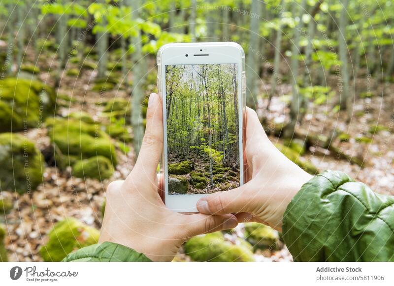 Crop-Reisende, die den Wald mit ihrem Smartphone fotografieren Reisender Foto Wälder Mobile Telefon Fotografie reisen Pyrenäen Gerät Natur Apparatur Moment