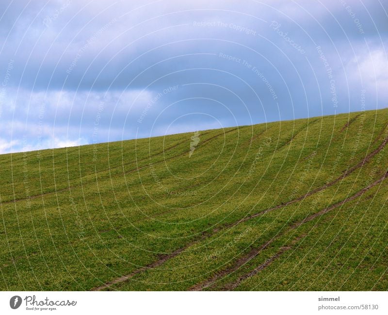 Grünes Feld grün Wolken Hügel Erde Berge u. Gebirge Kontrast blau Furche