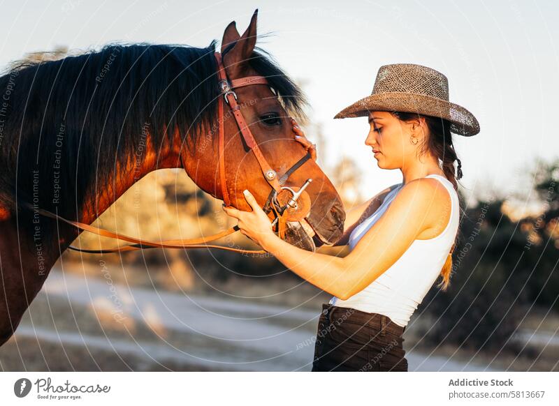 Junge Frau mit Hut geht mit ihrem Pferd in der Landschaft bei Sonnenuntergang spazieren Natur jung Tier Ranch Cowgirl Cowboy Person pferdeähnlich Reiten schön