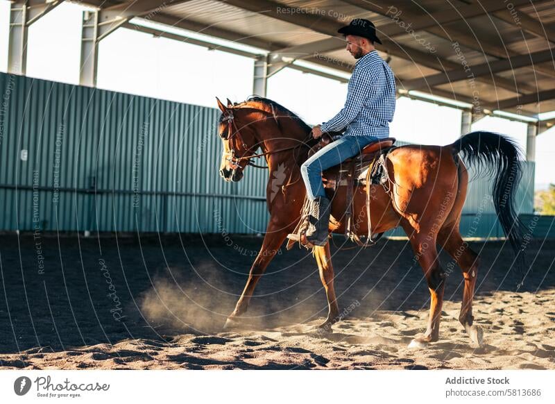 Mann reitet auf einem Pferd in einem Reitsportzentrum Natur Tier Reiterin Bauernhof pferdeähnlich striegeln Pferdestall Hengst Ranch Viehbestand Freund Haustier