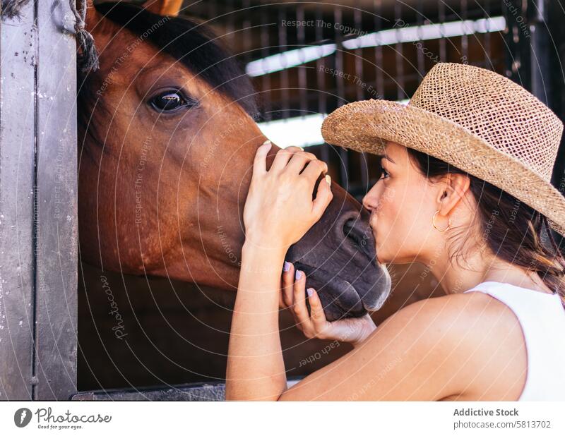 Frau kümmert sich um ihr braunes Pferd im Stall Reiter Natur Tier Reiterin Bauernhof pferdeähnlich striegeln Pferdestall Hengst Ranch Viehbestand Freund