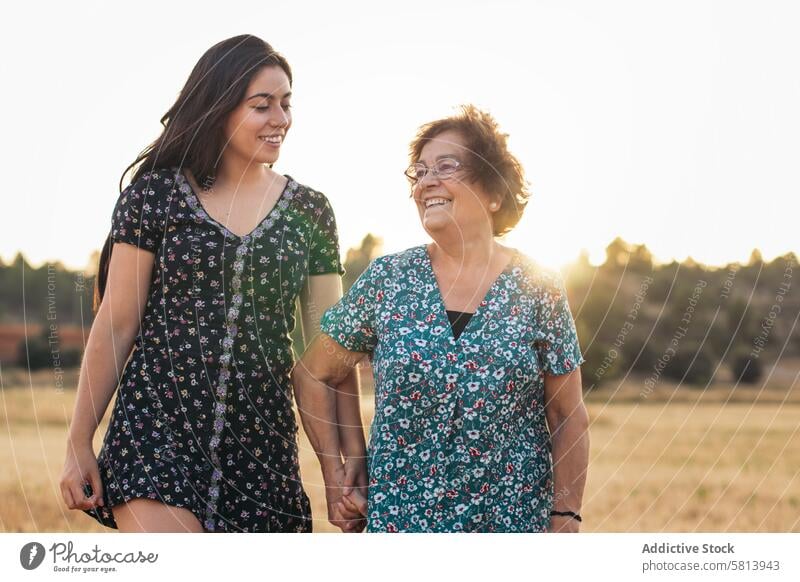 Das Leben ausnutzen Großmutter und Enkelin in einem Sonnenblumenfeld. Frau älter Natur Feld Menschen Sommer Ackerbau im Freien Blume gelb Senior Glück