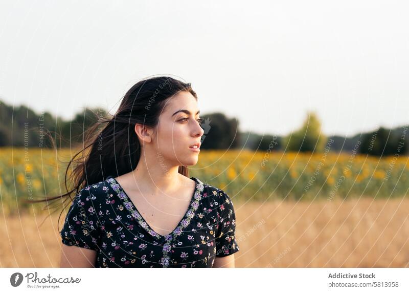 Porträt einer hübschen jungen Frau mit langen Haaren auf dem Lande Sonnenblume Natur Feld Menschen Sommer Ackerbau im Freien Blume gelb Glück Landschaft