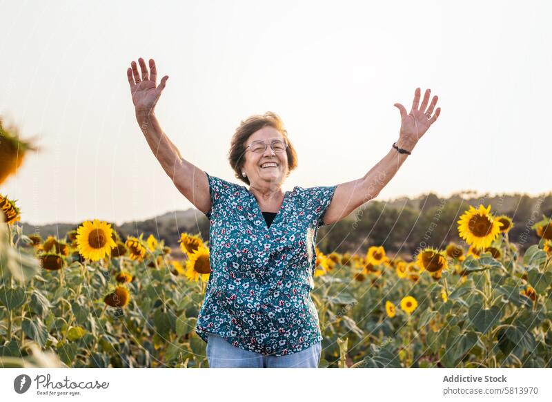 Ältere Frau in einem Feld mit Sonnenblumen älter Natur Menschen Sommer Ackerbau im Freien Blume gelb Senior Glück Landschaft Hintergrund sonnig Porträt grün