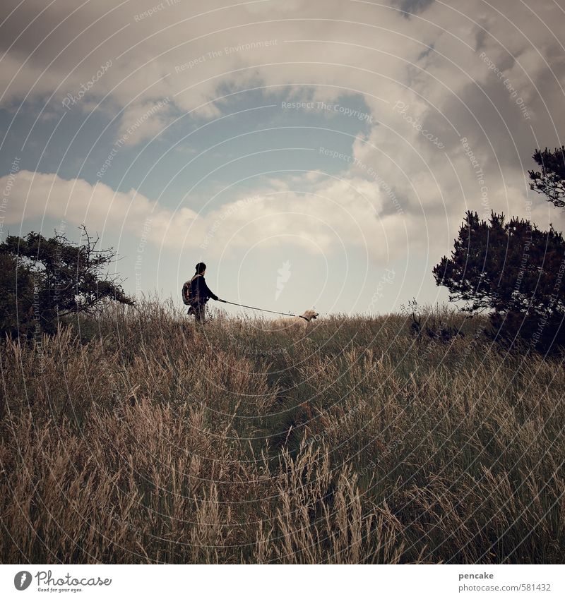 lange leine Frau Erwachsene 1 Mensch Natur Landschaft Urelemente Sand Himmel Wolken Sommer Baum Gras Küste Fjord Nordsee Tier Hund Zeichen laufen Blick träumen