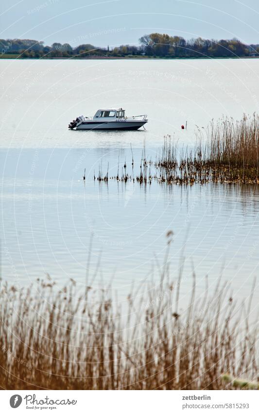 Hiddensee - Boot, Schilf, Ufer ferien frühling grieben hiddensee insel mecklenburg meer mv ostsee reise sommer sonne strand tourismus urlaub vitte vorpommern