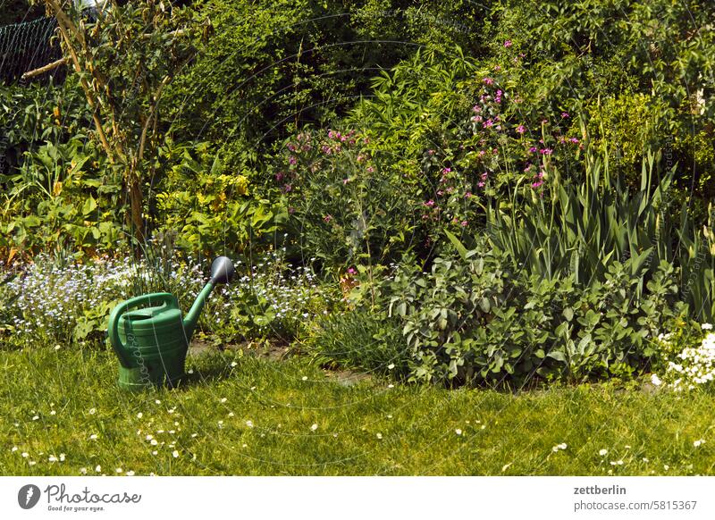 Garten blühen blüte erholung erwachen ferien frühjahr frühling frühlingserwachen garten hecke kleingarten kleingartenkolonie knospe menschenleer nachbarschaft