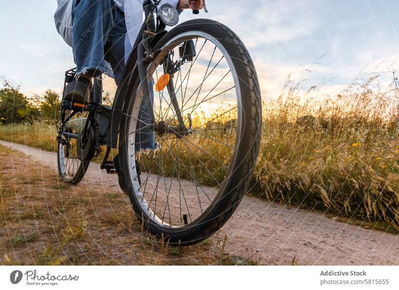 Frauen auf einem Fahrrad in einem Feld. Nahaufnahme Sommer Natur schön Mädchen jung Gras Landschaft Glück Urlaub Gesundheit natürlich reisen Wiese sonnig