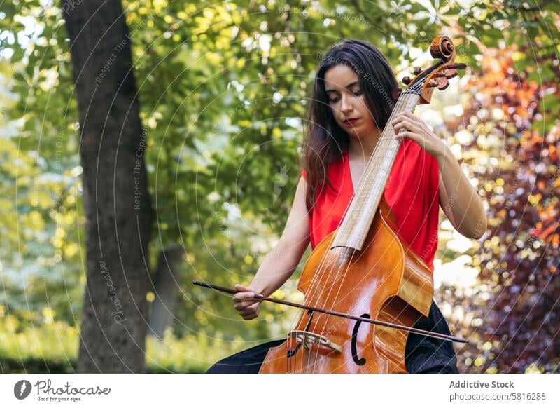 Frau spielt Cello in einem Park. Musiker Instrument Konzert Leistung Künstler Musical spielen im Freien Klassik Entertainment Orchester Melodie Symphonie Klang