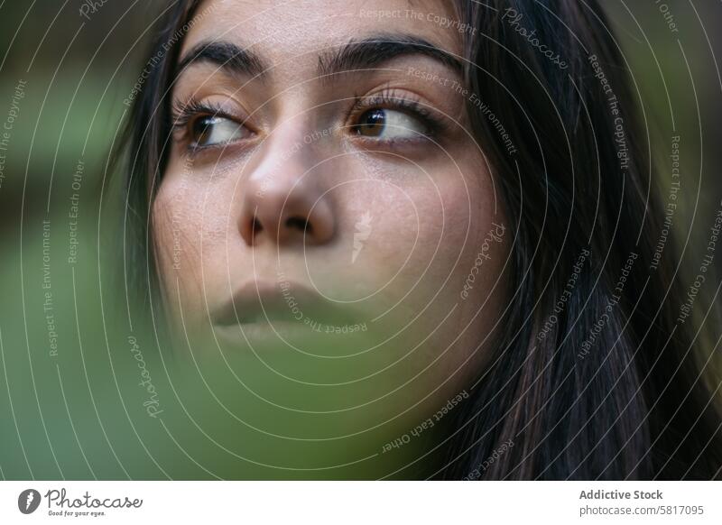 Porträt einer jungen Frau im Wald schön Lifestyle Natur Menschen Glück im Freien Person Kaukasier Park reisen Freiheit Lächeln heiter Freizeit natürlich Gesicht