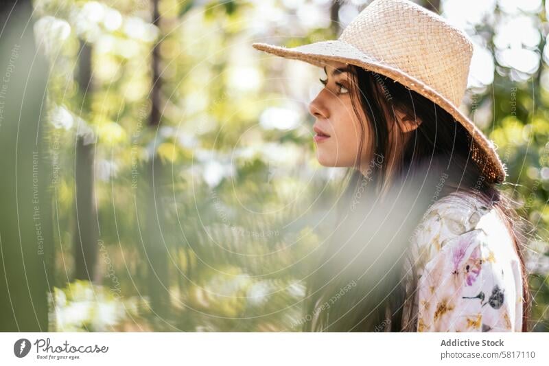 Frau genießt einen Tag in der Natur im Wald jung Park Lifestyle Spaziergang Freizeit im Freien Landschaft sonnig Blätter Baum Kaukasier laufen Feiertag