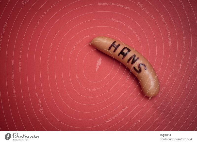 Pseudonym Lebensmittel Wurstwaren Bockwurst Fleischwurst Ernährung Gesundheit Zeichen dick Originalität Reichtum Hanswurst Satire Farbfoto Gedeckte Farben