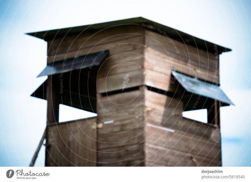 Jäger Hochsitz mit offenen Fenster  Blick nach allen Seiten. hochstand Farbfoto Außenaufnahme Bäume Hochstand Jagd Natur beobachten Umwelt Menschenleer Holz Tag