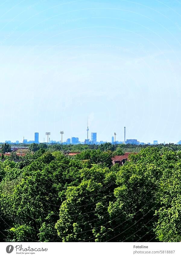 Ich stehe auf dem Dach eines Lost Places in Köpenick und habe einen tollen Blick zum Fernsehturm Berlin Hauptstadt Stadt Bauwerk Skyline Berliner Fernsehturm