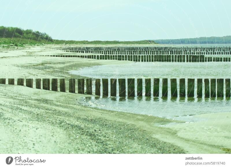 Hiddensee - Gellen ferien frühling grieben hiddensee insel kloszer mecklenburg meer mv nezuendorf ostsee reise sommer sonne strand tourismus urlaub vitte