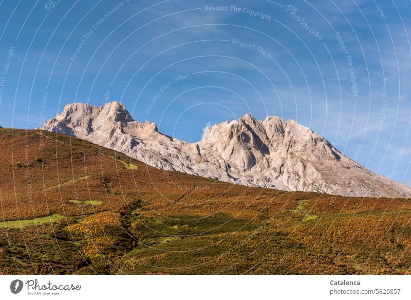 Eine mit Ginster überwachsene Alm, Berge und Himmel Berge u. Gebirge Natur Tag Tourismus Ferien & Urlaub & Reisen Umwelt Landschaft Büsche Wolken Tageslicht