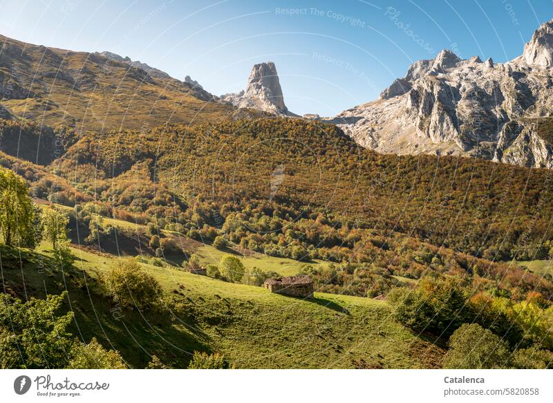 Landschaft mit Berg und Hütte Farn Steine Gipfel Berge u. Gebirge Natur Tag Tourismus Ferien & Urlaub & Reisen Umwelt Himmel Horizont wandern Tageslicht Büsche