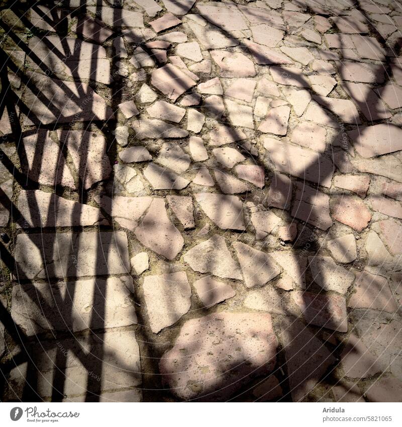 Schattenspiel auf Natursteinpflaster Stein Zaun Baum Schattenwurf Licht & Schatten Strukturen & Formen Pflastersteine Weg Platz Kontrast Muster mediterran Sonne