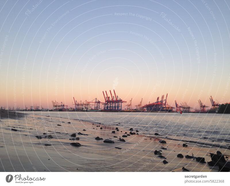 Heimathafen Hamburg Hafen Sonnenuntergang Stimmung Strand Elbe Dämmerung kitschig romantisch Menschenleer Kräne Wasser Fluss Containerterminal Hamburger Hafen