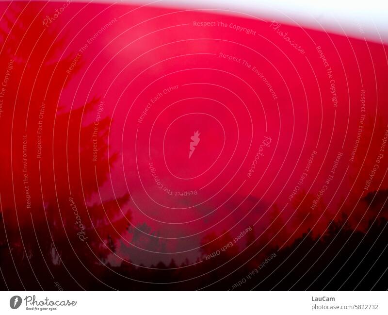Bei schlechtem Wetter sehe ich rot Wolken dichte Wolken bewölkt Tanne Wald im Wald rote Scheibe schlechtes Wetter dunkel Nebel düster bedrohlich bedeckt