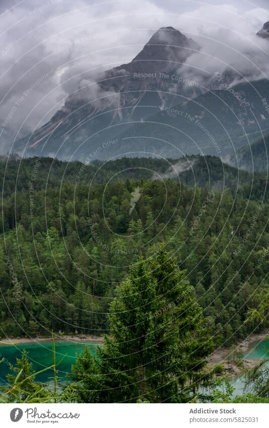 Neblige Berglandschaft in den Alpen alpin Berge u. Gebirge See Wald Nebel Cloud Gipfel Natur Schönheit Gelassenheit Landschaft Alpensee wolkenverhangen