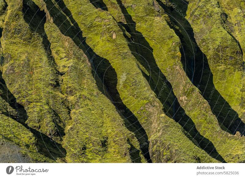 Üppig grüne Bergrücken im isländischen Hochland Island Kamm Textur Luftaufnahme Moos Natur Landschaft im Freien Geologie moosbedeckt Muster natürlich Umwelt