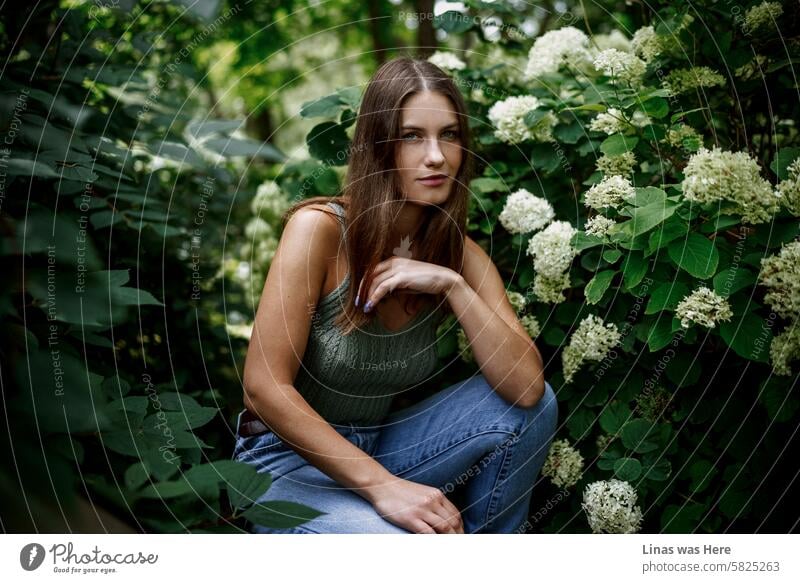 Ein wunderschönes brünettes Mädchen posiert makellos zwischen weißen Blumen, die um sie herum blühen. Eine hübsche Frau und ein feines Modell testen. Ein wunderschönes Mädchen schaut direkt in die Kamera und macht einen perfekten Flirt.