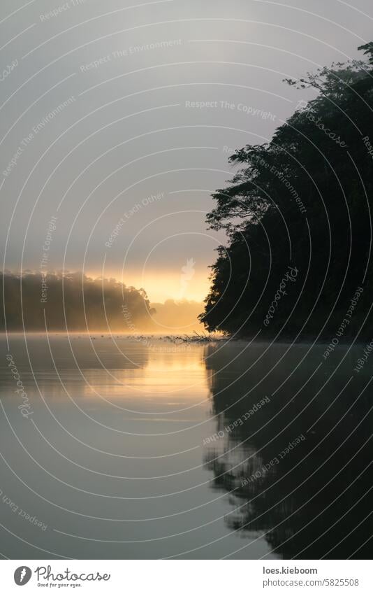 Erstes Sonnenlicht im Nebel am Kinabatangan River in Sukau, Sabah, Borneo, Malaysia Kinabatangan-Fluss Sonnenstrahlen Regenwald Sonnenaufgang sukau malaysia