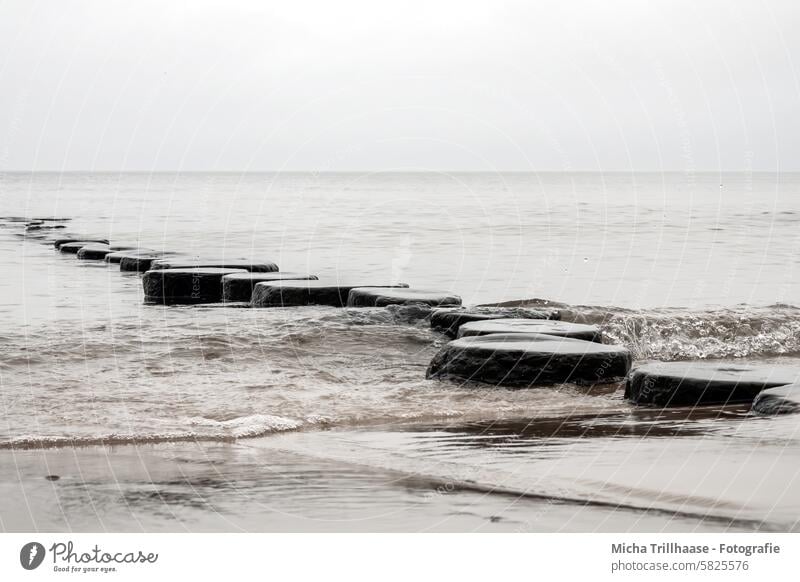 Buhnen am Ostseestrand Insel Usedom Zempin Meer Wasser Wellen Horizont Himmel Wolken Landschaft Natur Mecklenburg-Vorpommern Ferien & Urlaub & Reisen Tourismus