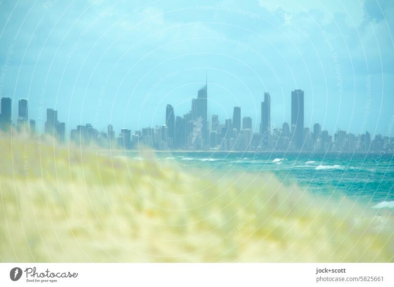 malerischer Strand mit Skyline Düne Meer Pazifik Küste Sommer Himmel wolkig Panorama (Aussicht) Surfers Paradise Australien Queensland Silhouette Sonnenlicht