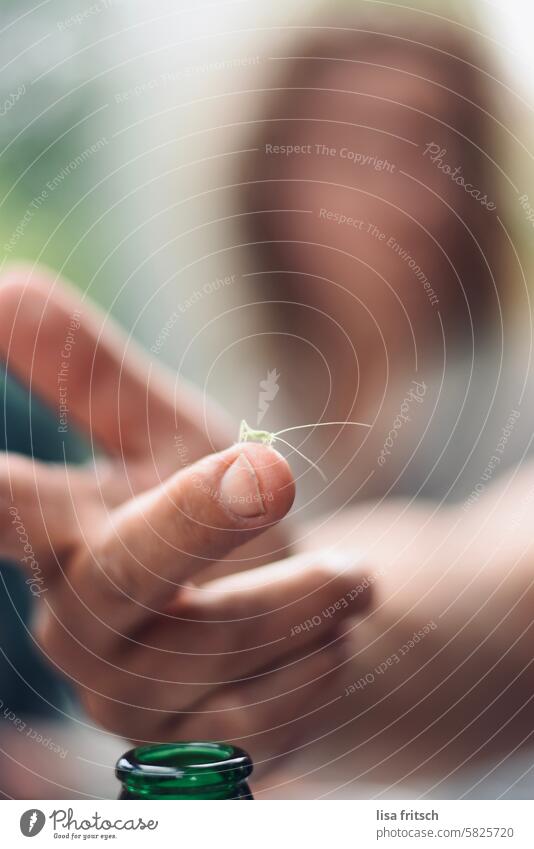 SIEHT MICH WER Grashüpfer Insekt Hand Tier Natur grün Nahaufnahme Tierporträt Fühler Umwelt Außenaufnahme Farbfoto klein